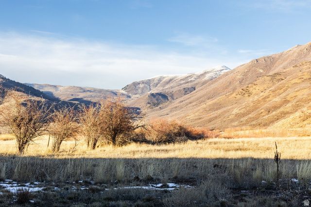 554 W 1150 N, Midway, UT 84049