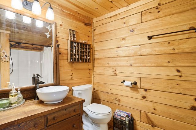 947 Skyview Drive, Ellijay, GA 30536