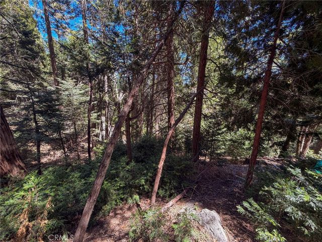 24355 Albrun, Crestline, CA 92325