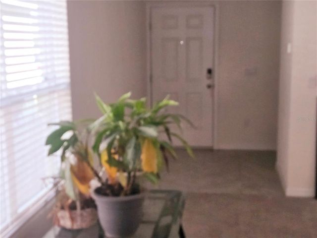 36562 SILVER MAIZE DRIVE, Dade City, FL 33525