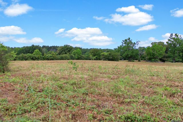 720 Anderson Rd, Amite, LA 70422