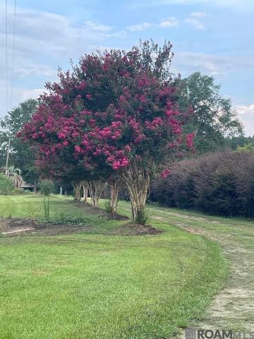 720 Anderson Rd, Amite, LA 70422