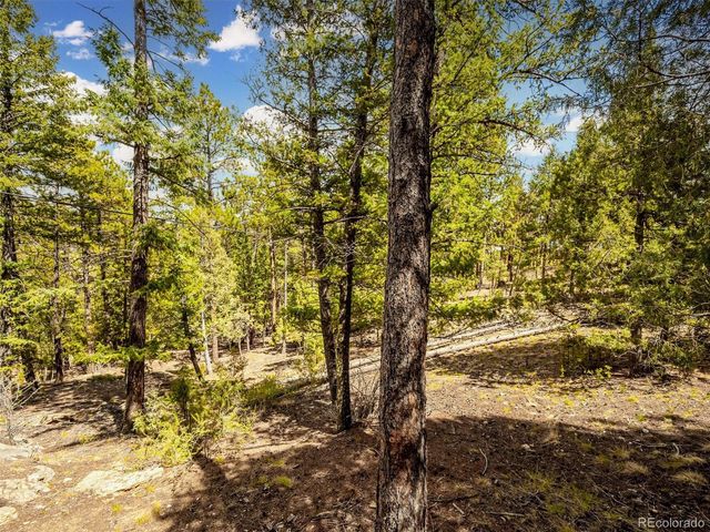33431 Lake Lane, Pine, CO 80470