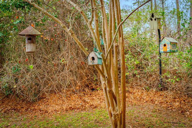 5024 Pimlico Drive, Tallahassee, FL 32309