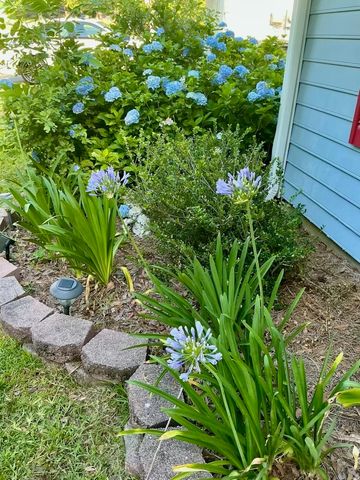 5024 Pimlico Drive, Tallahassee, FL 32309