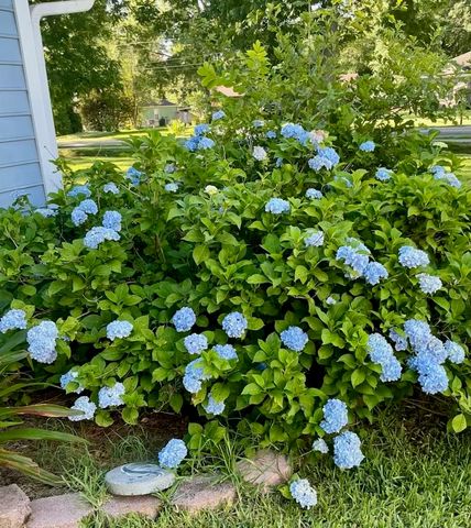 5024 Pimlico Drive, Tallahassee, FL 32309