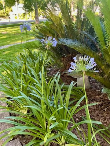 5024 Pimlico Drive, Tallahassee, FL 32309