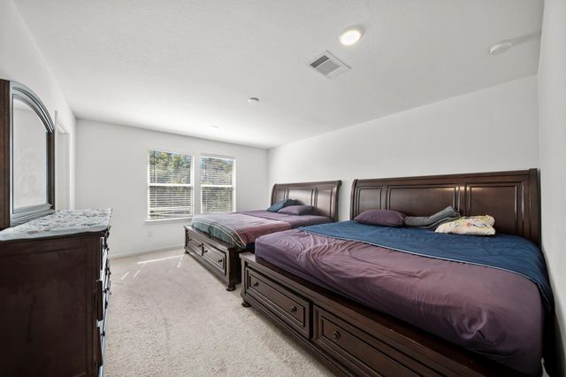 116 Chestnut Gate Drive, Conroe, TX 77378