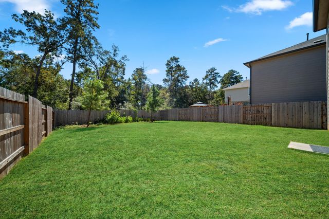 116 Chestnut Gate Drive, Conroe, TX 77378