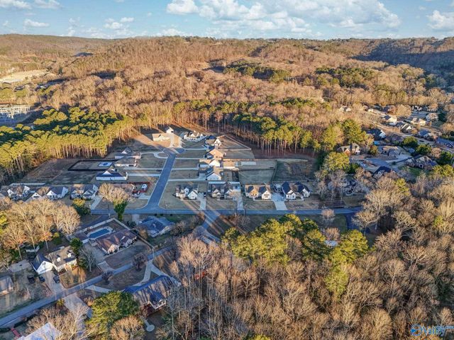 5397 Spring Creek Drive, Guntersville, AL 35976