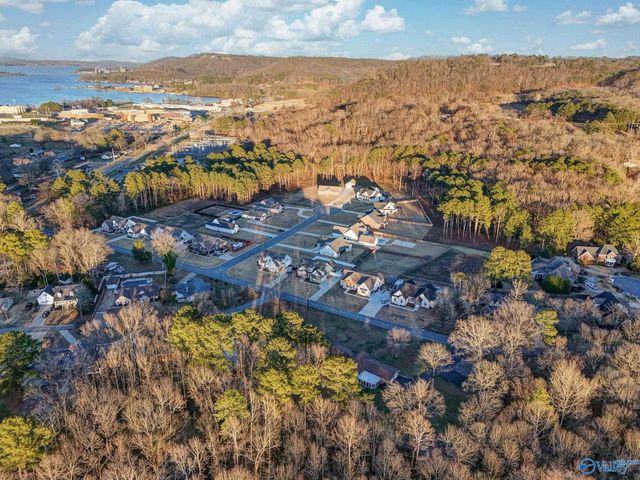 5397 Spring Creek Drive, Guntersville, AL 35976
