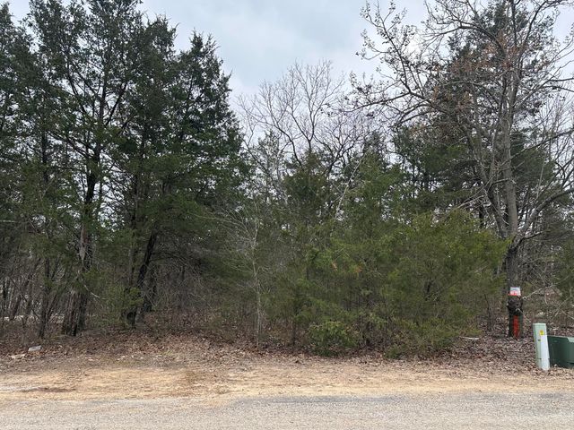 560 Pine Woods Village Drive Lot 18, Hollister, MO 65672