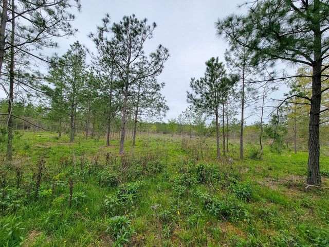 001 County Road 3375, Lovelady, TX 75851