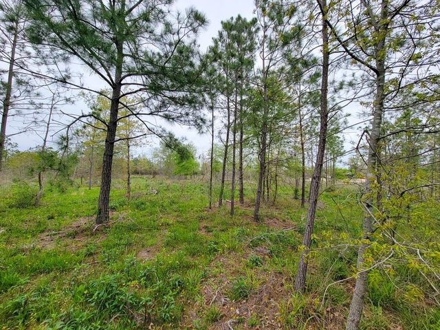 001 County Road 3375, Lovelady, TX 75851