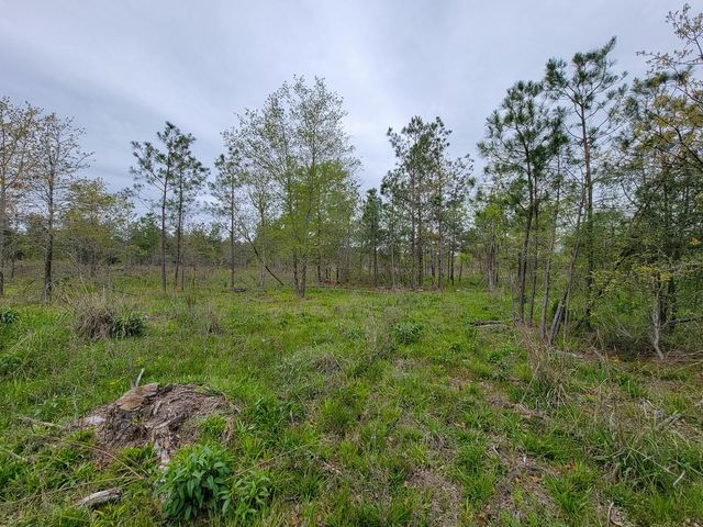 001 County Road 3375, Lovelady, TX 75851