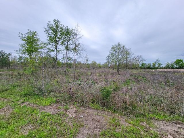 001 County Road 3375, Lovelady, TX 75851