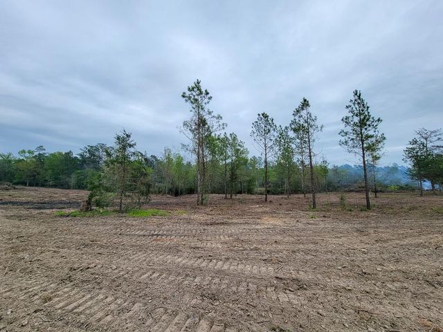 001 County Road 3375, Lovelady, TX 75851