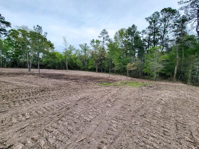 001 County Road 3375, Lovelady, TX 75851