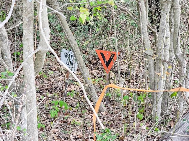 001 County Road 3375, Lovelady, TX 75851