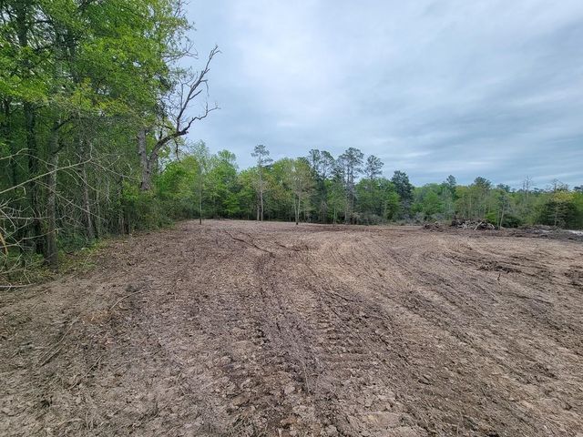 001 County Road 3375, Lovelady, TX 75851