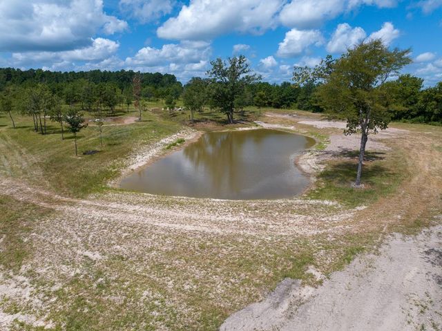 001 County Road 3375, Lovelady, TX 75851
