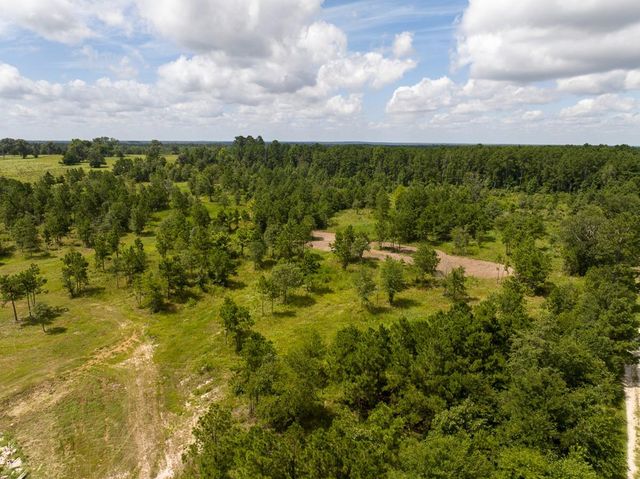001 County Road 3375, Lovelady, TX 75851
