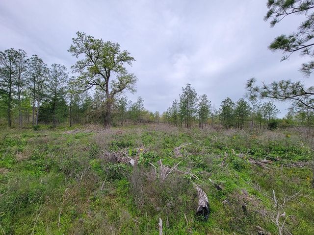 001 County Road 3375, Lovelady, TX 75851