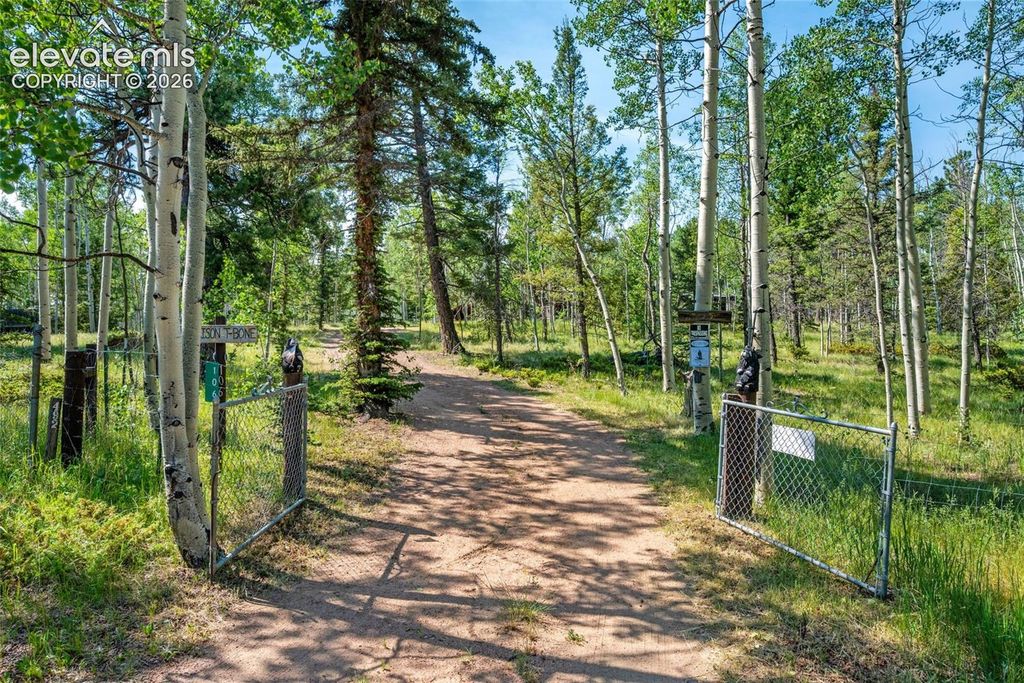 106 Forest Court, Guffey, CO 80820 — exterior