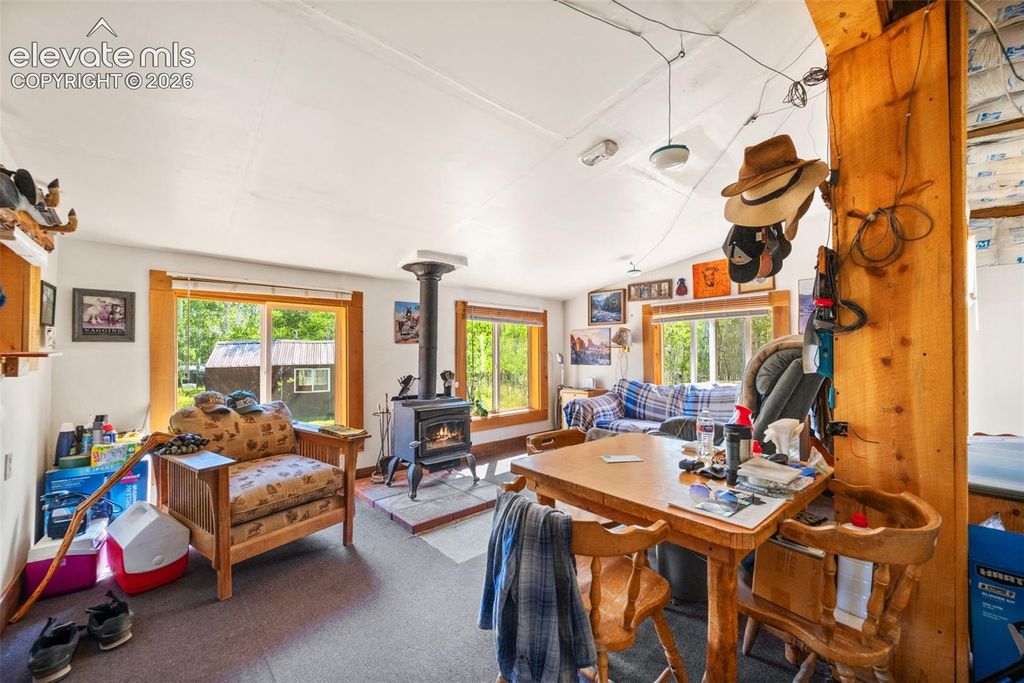 106 Forest Court, Guffey, CO 80820 — photo 5