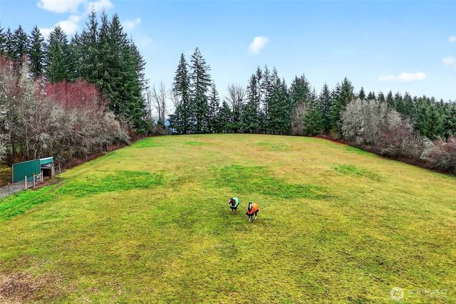 39310 NE 6th Avenue, Woodland, WA 98674