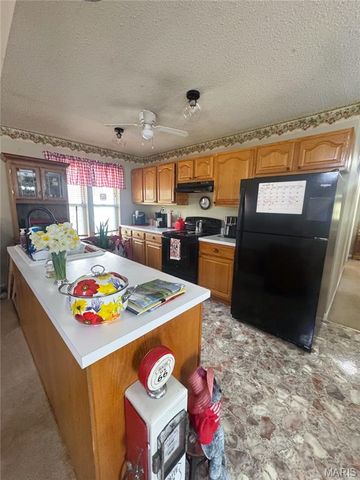 1240 47 Highway, Bonne Terre, MO 63628