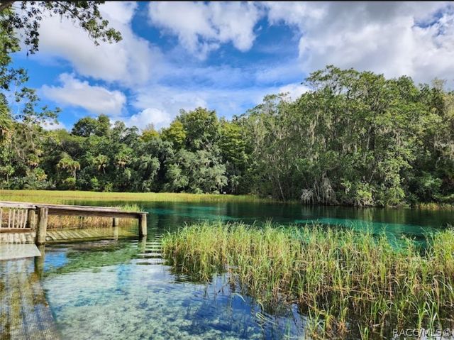 8583 N Tibet Terrace, Dunnellon, FL 34433