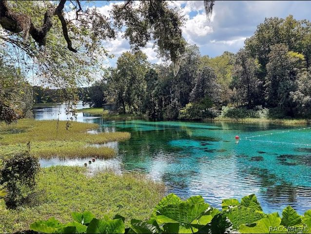 8583 N Tibet Terrace, Dunnellon, FL 34433