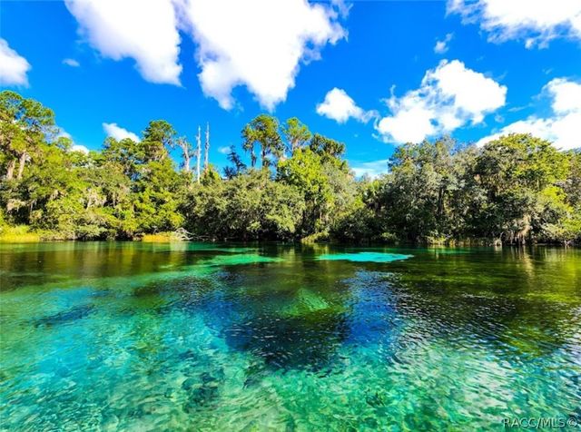 8583 N Tibet Terrace, Dunnellon, FL 34433