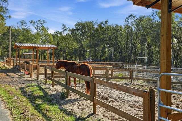 16000 SAM C ROAD, Brooksville, FL 34613