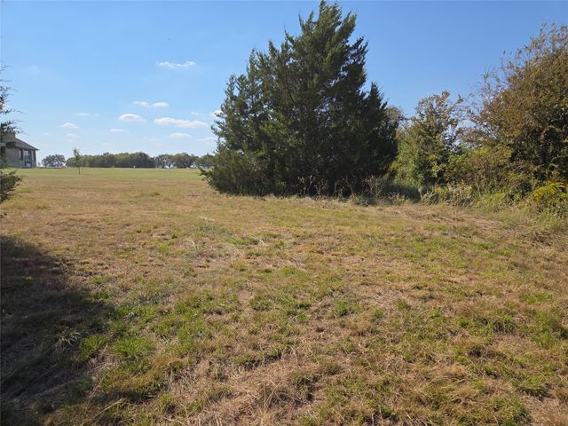 Lot 10 Oasis Drive, Kerens, TX 75144