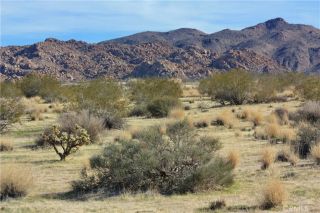 7130 Sunfair, Joshua Tree, CA 92252