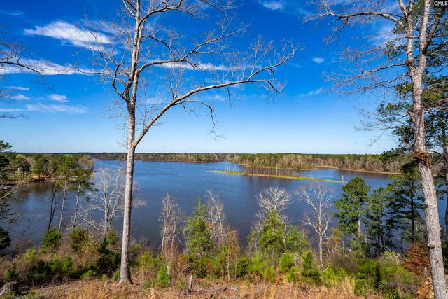 161 Saluda Bluff Road, Batesburg, SC 29006