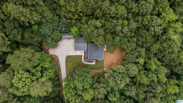2898 COUNTY ROAD 15, Oneonta, AL 35121