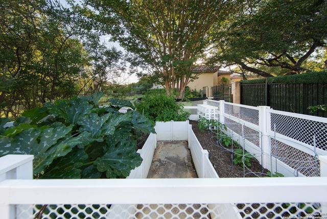 11118 ANAQUA SPGS, Boerne, TX 78006