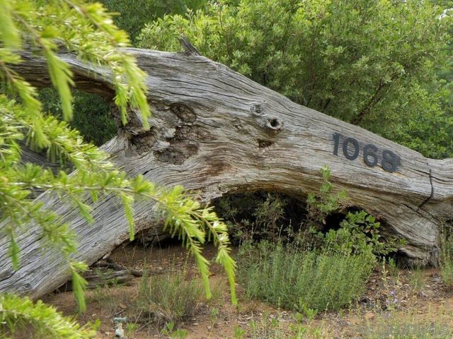 1068 W Incense Cedar Road, Julian, CA 92036