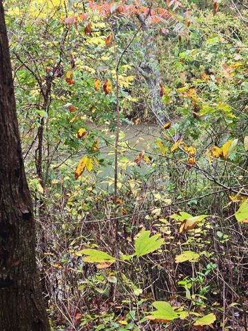 6491 Piney River Rd, N, Bon Aqua, TN 37025