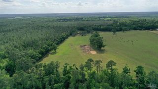 Lot 4 Hall Rd, Jay, FL 32565