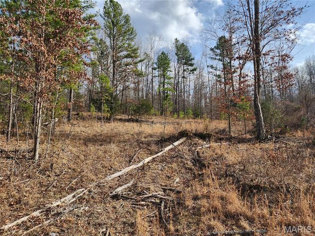 14992 State Hwy 34, Piedmont, MO 63957