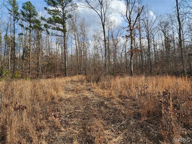 14992 State Hwy 34, Piedmont, MO 63957