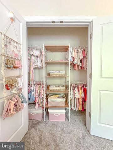 8525 LAROQUE RUN DR, Fredericksburg, VA 22407