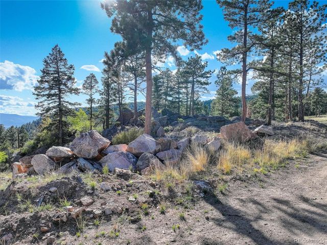 23047 Big Game Trail, Conifer, CO 80433