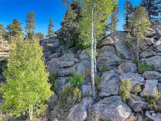 23047 Big Game Trail, Conifer, CO 80433