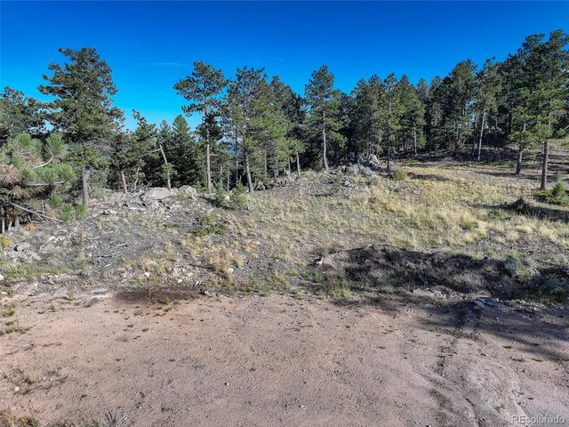 23047 Big Game Trail, Conifer, CO 80433