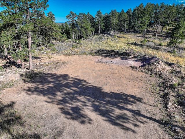 23047 Big Game Trail, Conifer, CO 80433